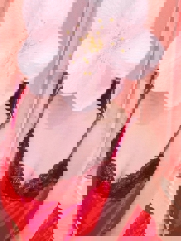 リミ